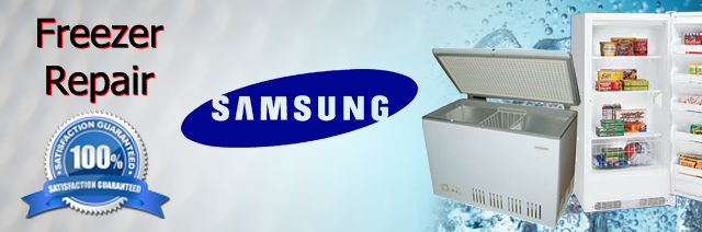 Samsung Freezer Repair