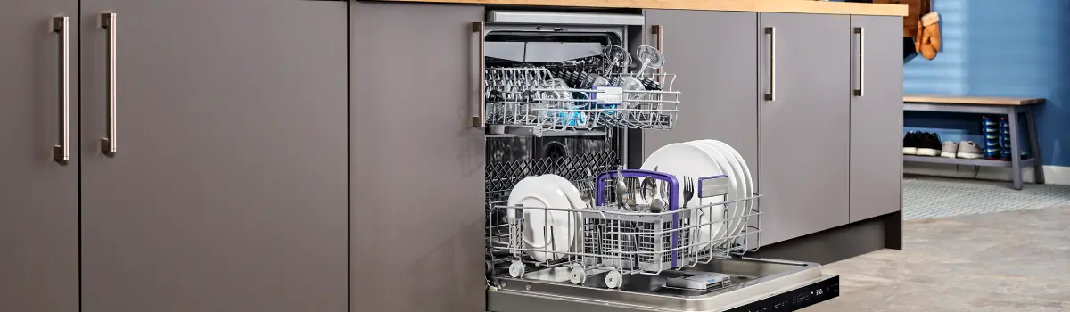 dishwasher-reapir-page